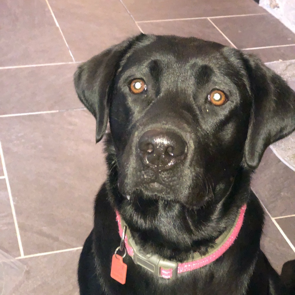 Meet your Posher, Jill